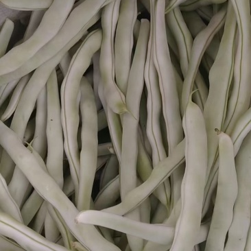 各种豆角豆角便宜了