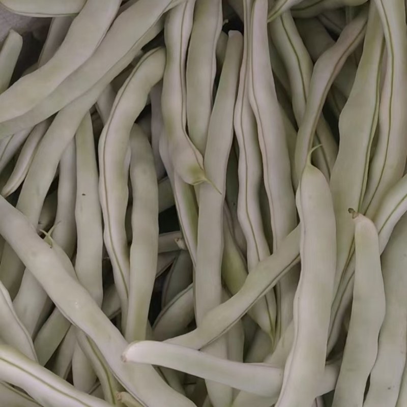 各种豆角豆角便宜了