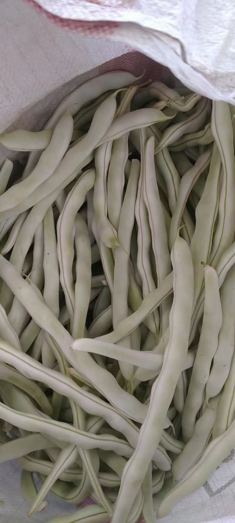 各种豆角豆角便宜了
