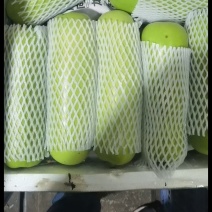 广东省徐闻县精品蒲瓜，一手货源，品质保证，欢迎惠顾。