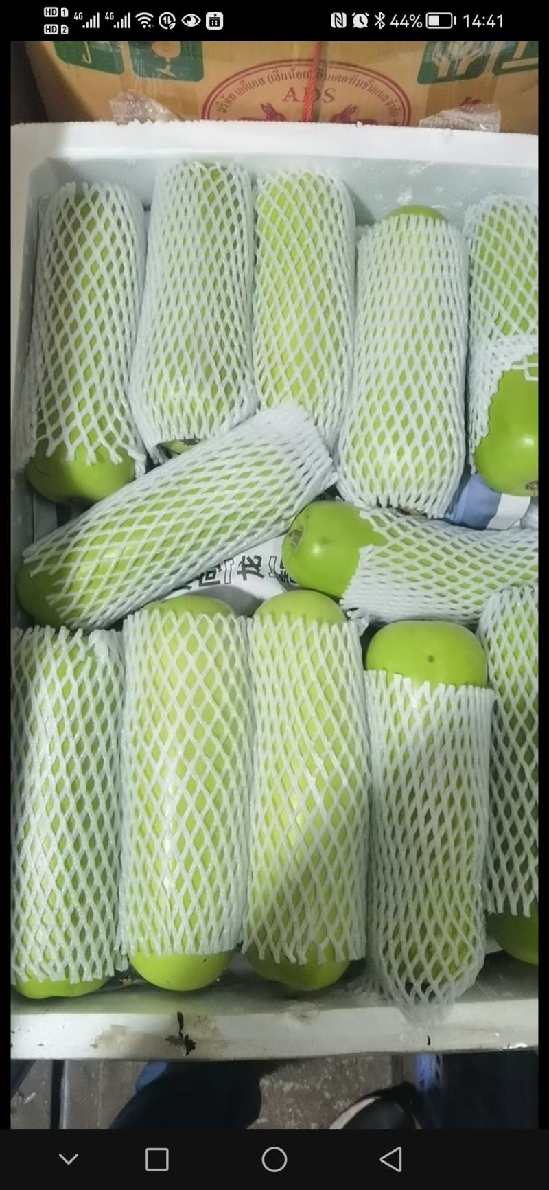 广东省徐闻县精品蒲瓜，一手货源，品质保证，欢迎惠顾。