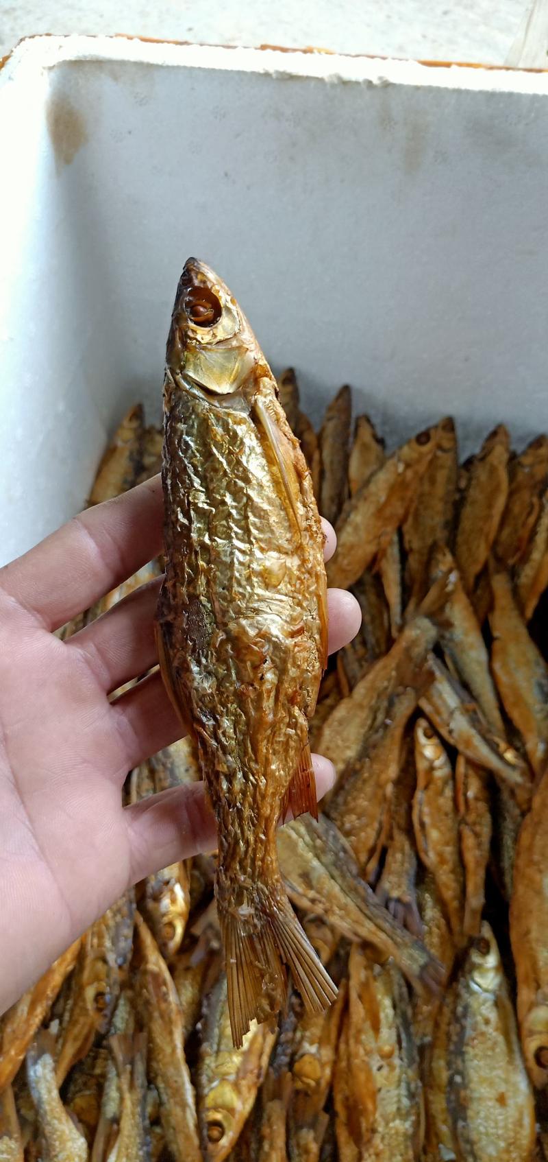烟熏兰刀鱼