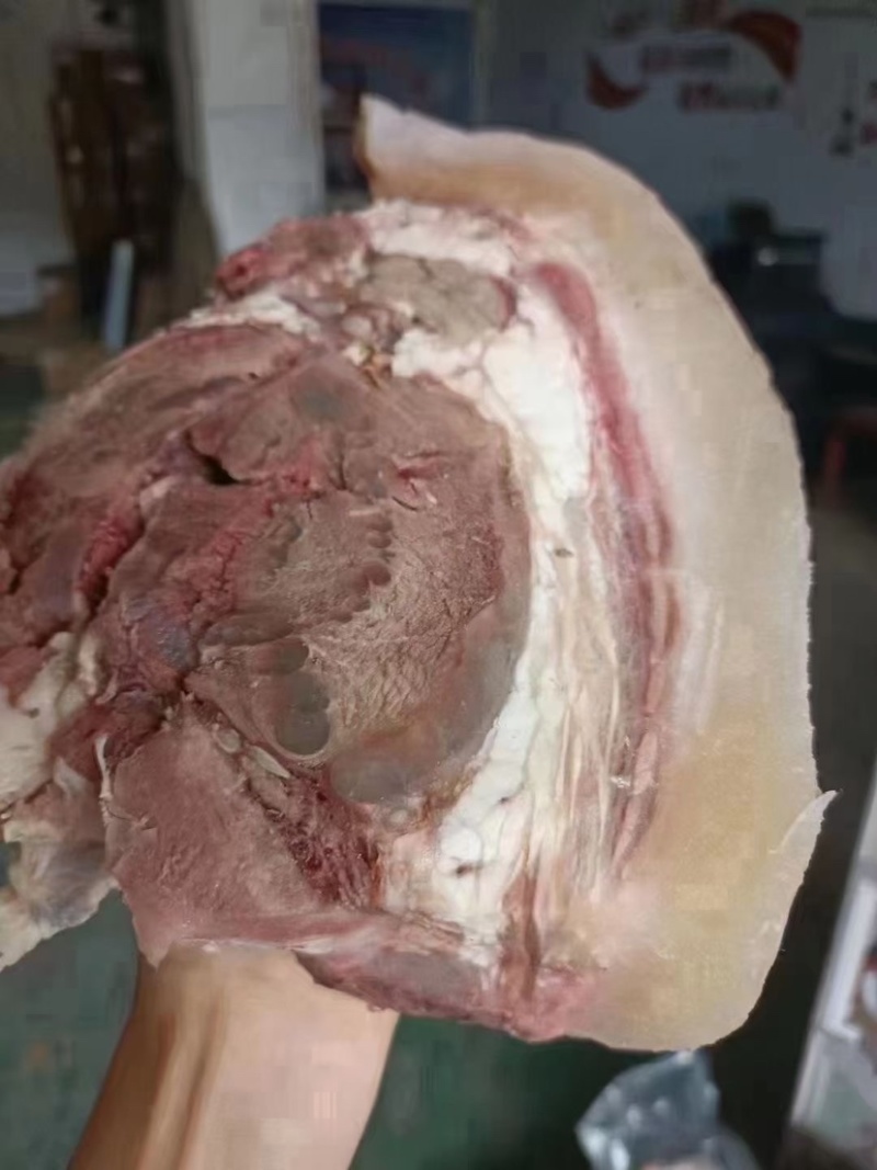 [热卖]，牛头肉，全熟精修，大量现货价格美丽