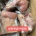 [热卖]，牛头肉，全熟精修，大量现货价格美丽