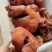[推]，猪头肉，全熟带核桃肉，大量现货价格特别美丽