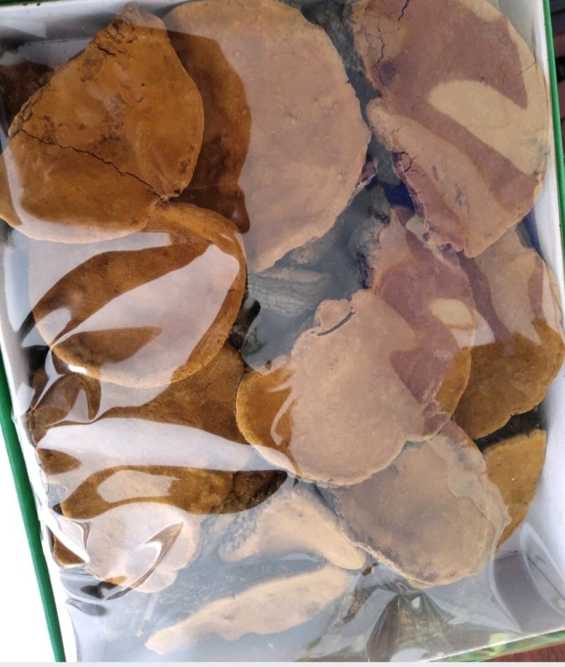 桑黄批发零售品种齐全一件代发诚信经营