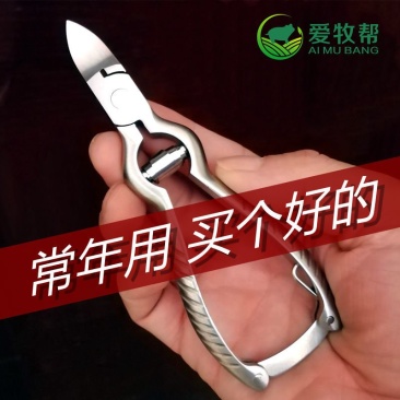 小猪不锈钢剪牙钳断牙钳兽用猪用剪齿钳仔猪牙剪养殖器