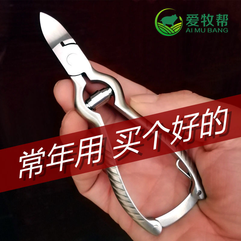 小猪不锈钢剪牙钳断牙钳兽用猪用剪齿钳仔猪牙剪养殖器