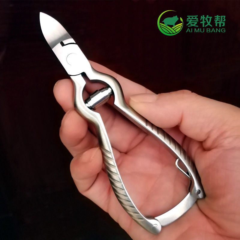 小猪不锈钢剪牙钳断牙钳兽用猪用剪齿钳仔猪牙剪养殖器