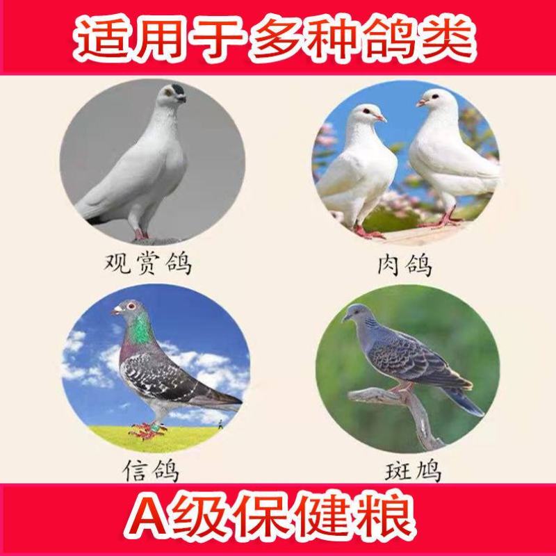 四川花椒籽鸽用喂鸽花椒籽批发大红袍花椒籽喂鸽喂鸡喂鸟泡脚