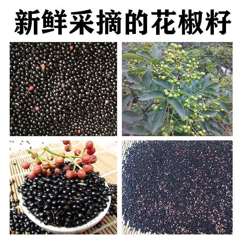 四川花椒籽鸽用喂鸽花椒籽批发大红袍花椒籽喂鸽喂鸡喂鸟泡脚