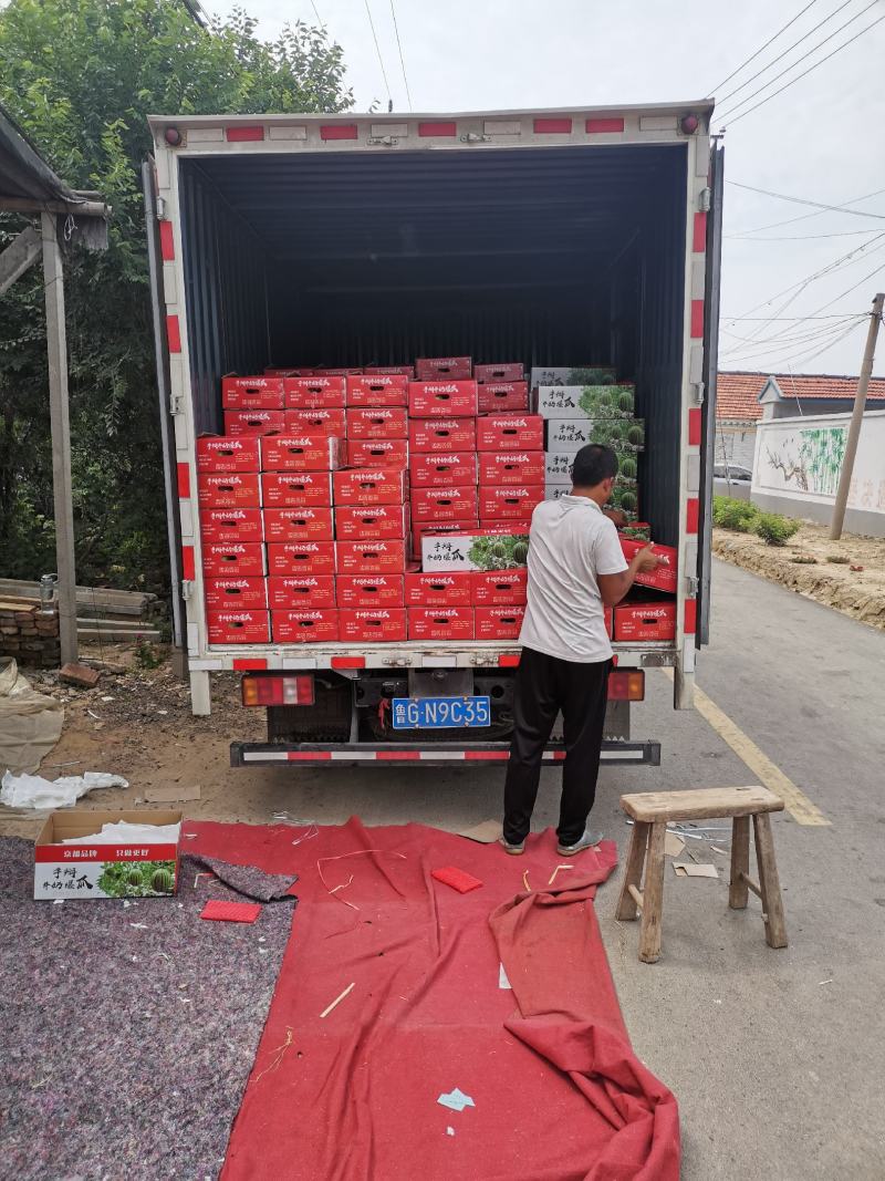 潍坊西瓜，L600西瓜，全美西瓜，小糖丸大量供应一手货源