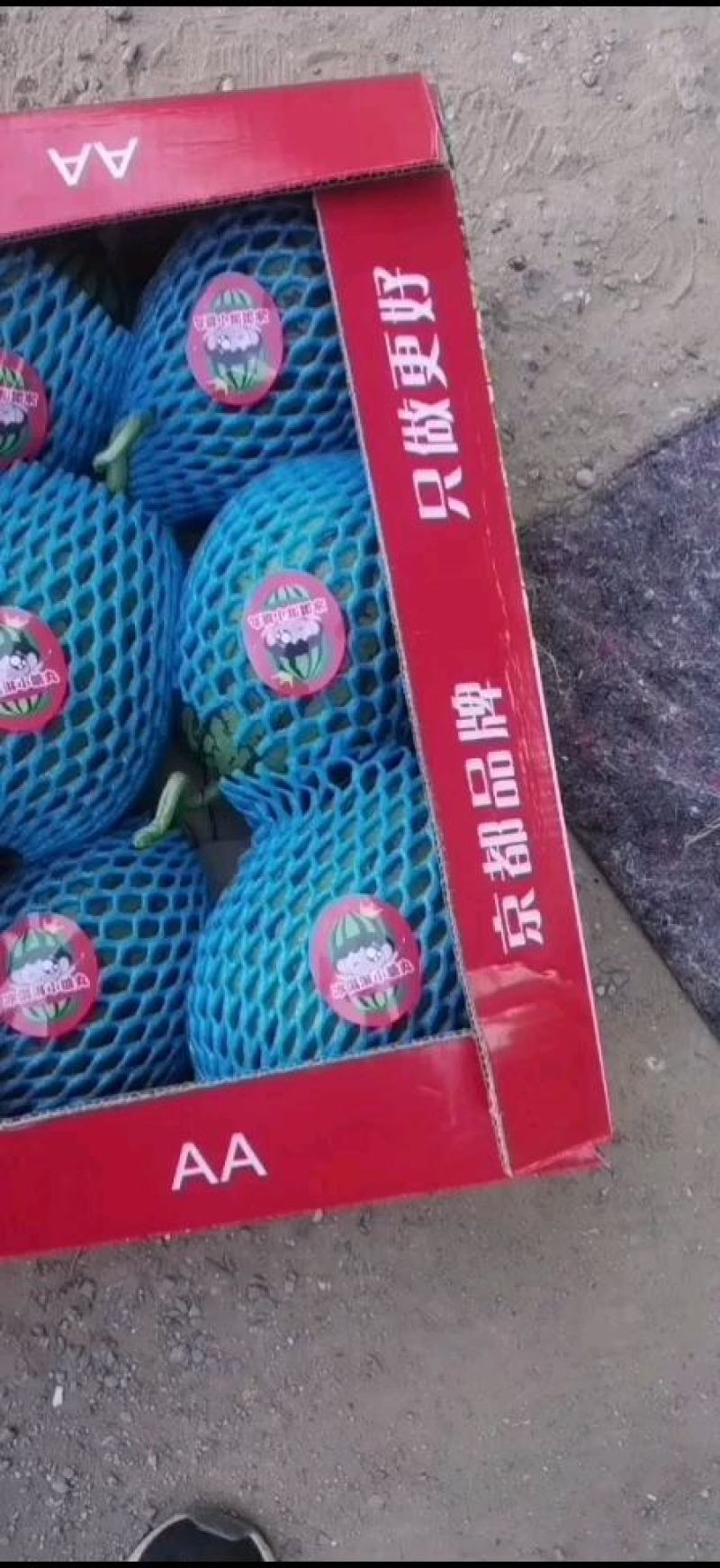 潍坊西瓜，L600西瓜，全美西瓜，小糖丸大量供应一手货源