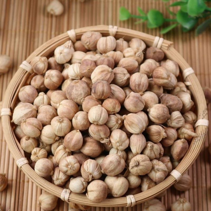 白豆寇白蔻仁白豆蔻白扣纯干无硫火锅烧肉可打粉香料大全