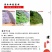 木豆种子新采护坡灌木绿肥新种子山林绿化耐寒耐旱耐贫瘠
