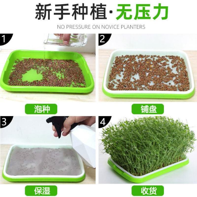 芽苗苗育苗托盘无土栽培水培蔬菜设备工厂化生产种菜