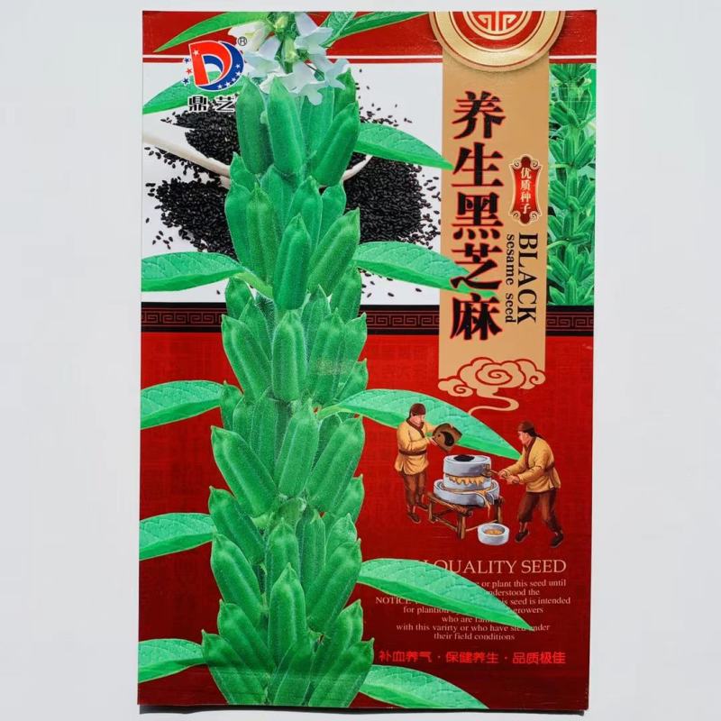 黑芝麻种子早熟高产优质养生黑白芝麻种籽含油高大田用种