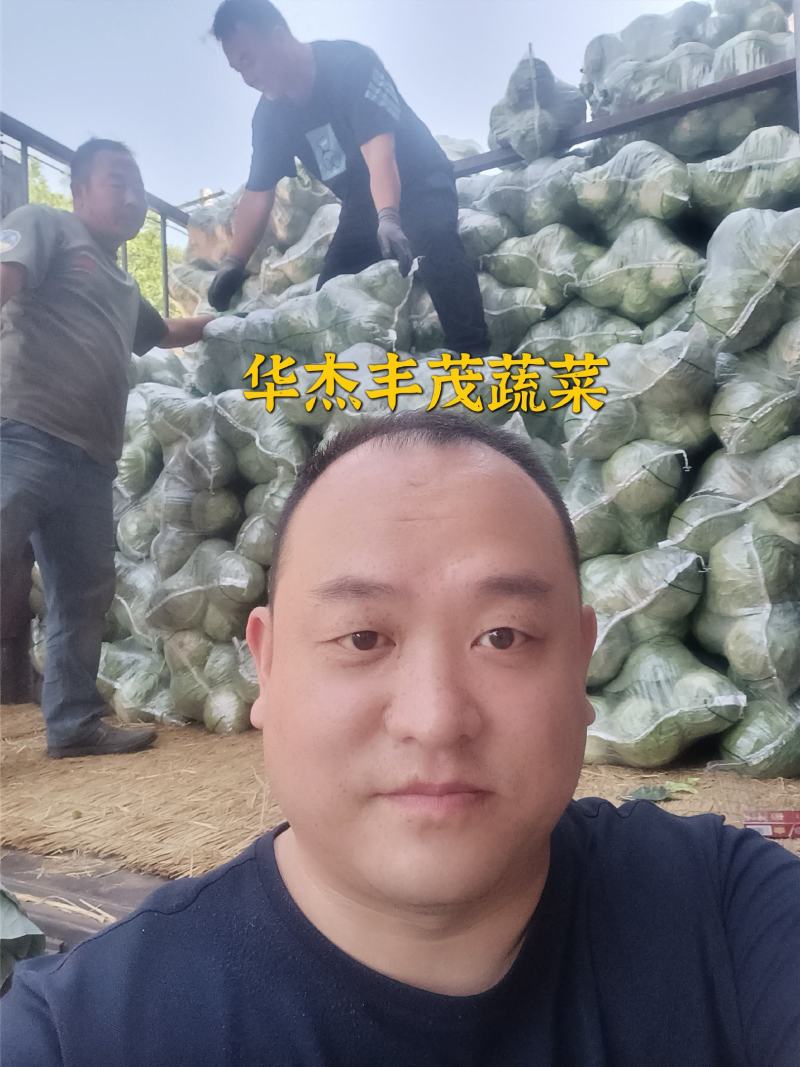 甘蓝圆包菜（袋装，散装）1.5～3斤左右产地直发