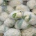 山西新鲜有机花菜松花散花乳白80小米粒