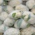 山西新鲜有机花菜松花散花乳白80小米粒