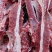 加肉羊蝎子！