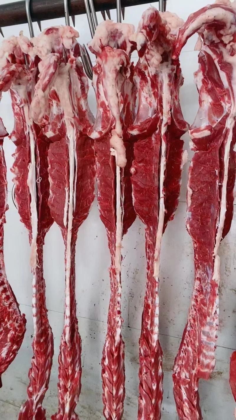 加肉羊蝎子！