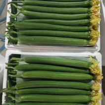 连云港东海精品丝瓜，产地直发质量保证。。。