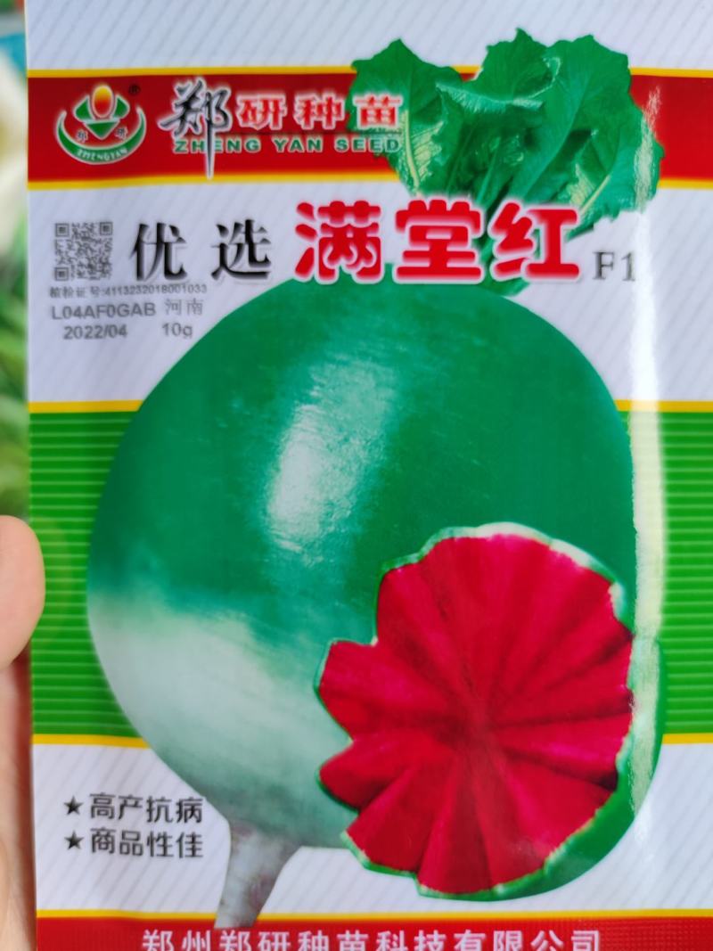 满堂红水果萝卜种子，口感甜脆