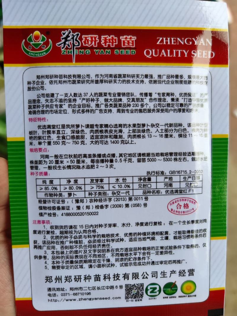 满堂红水果萝卜种子，口感甜脆