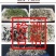 荆芥菜籽河南大叶荆芥种子菜籽蔬菜种子四季播荆菜农家田