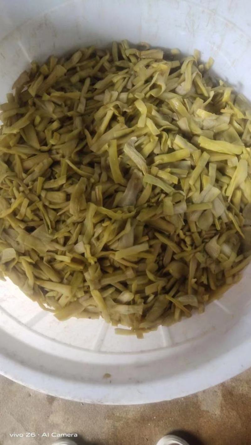 酸芋苗，广西那良脆爽不痒口酸芋苗一手货源大量供货全国销售