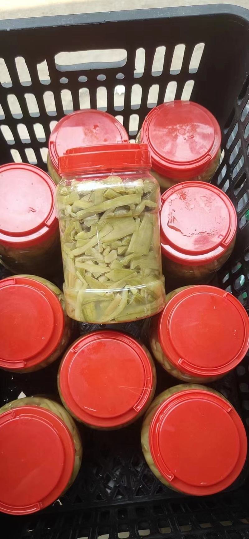 酸芋苗，广西那良脆爽不痒口酸芋苗一手货源大量供货全国销售