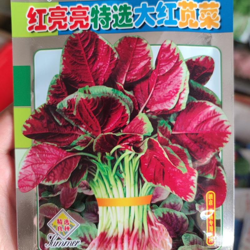 红亮亮大红苋菜种子，500克