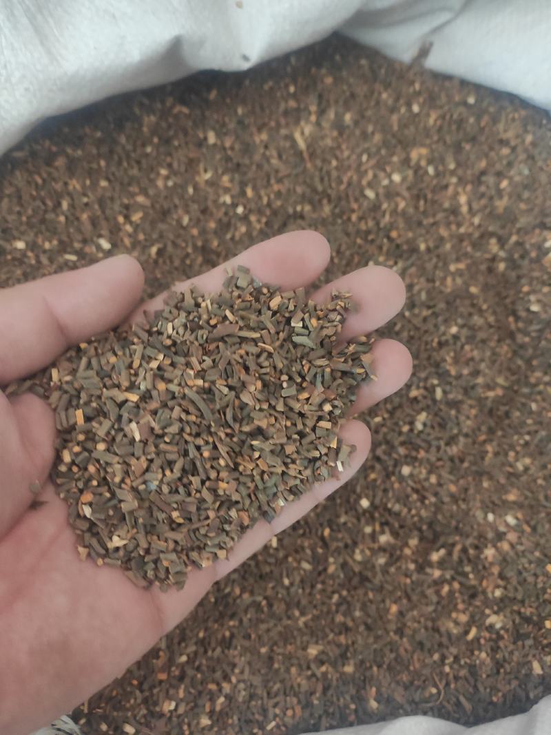桂枝干货桂枝尖欢迎选购！量大从优！