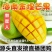 海南金煌芒果大客户专享一件代发接团购直播10斤包邮非贵妃