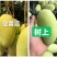 海南金煌芒果大客户专享一件代发接团购直播10斤包邮非贵妃