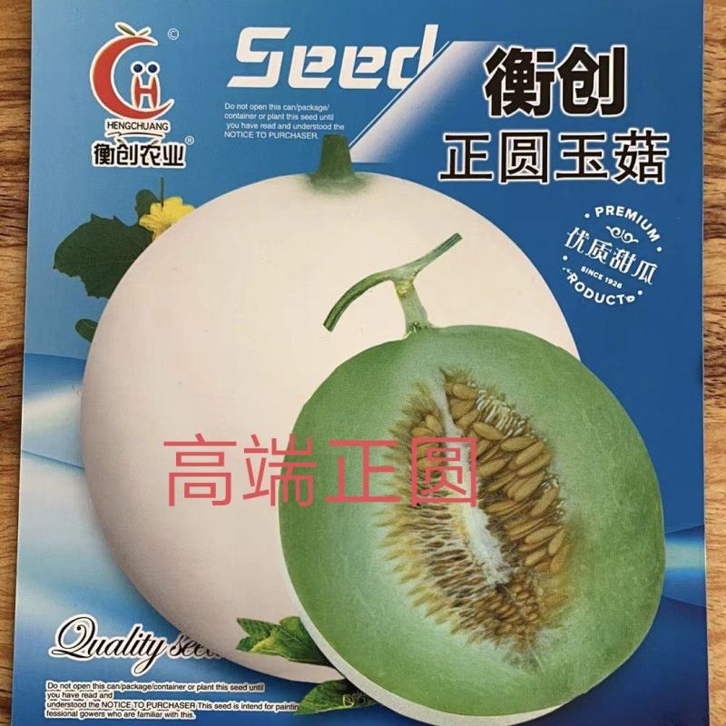 玉菇甜瓜种子衡创正圆玉菇含糖度高大果抗病果肉翠绿色