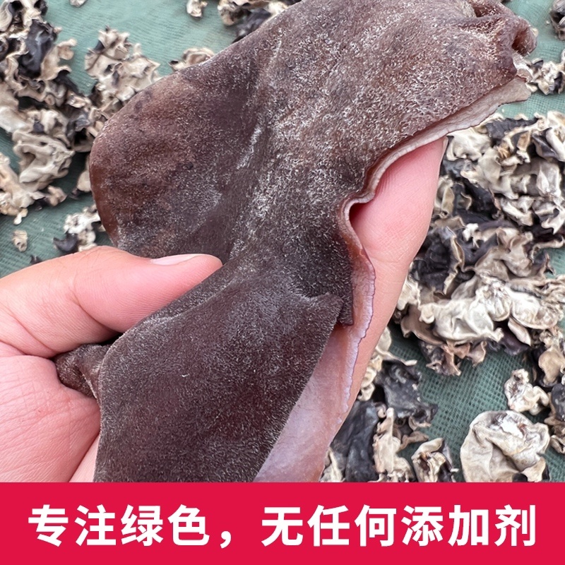 头茬毛木耳干货特大号餐饮食材脆木耳商用批发黑木耳特产电询