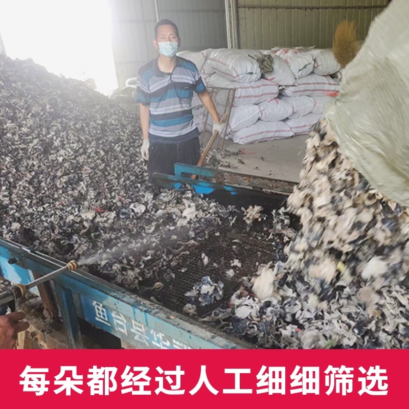 头茬毛木耳干货特大号餐饮食材脆木耳商用批发黑木耳特产电询