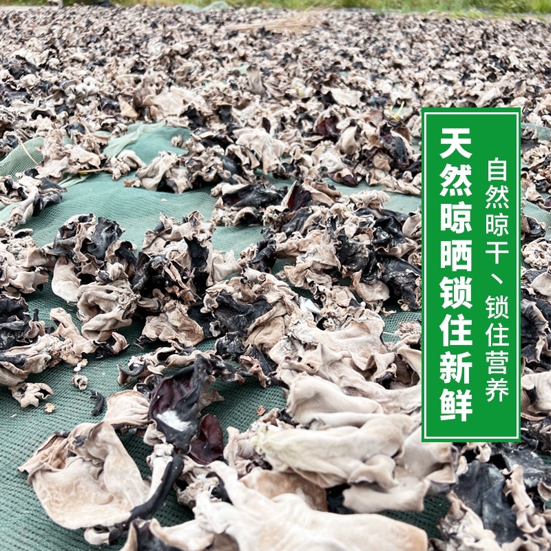 头茬毛木耳干货特大号餐饮食材脆木耳商用批发黑木耳特产电询