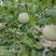 玉菇甜瓜种子衡创正圆玉菇含糖度高大果抗病果肉翠绿色