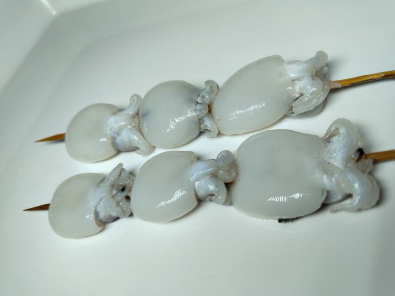 墨鱼仔小串，烧烤串批发，特色烧烤串，海鲜食材