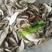 干香菇丝:食品厂专用、干净无杂质