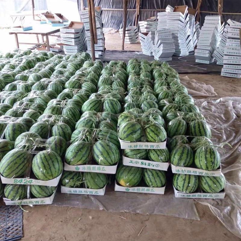 夏邑县大棚8424西瓜711西瓜一手货源，产地发货