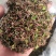 陕西大红袍花椒枝叶，花椒杆，泡脚香料打粉