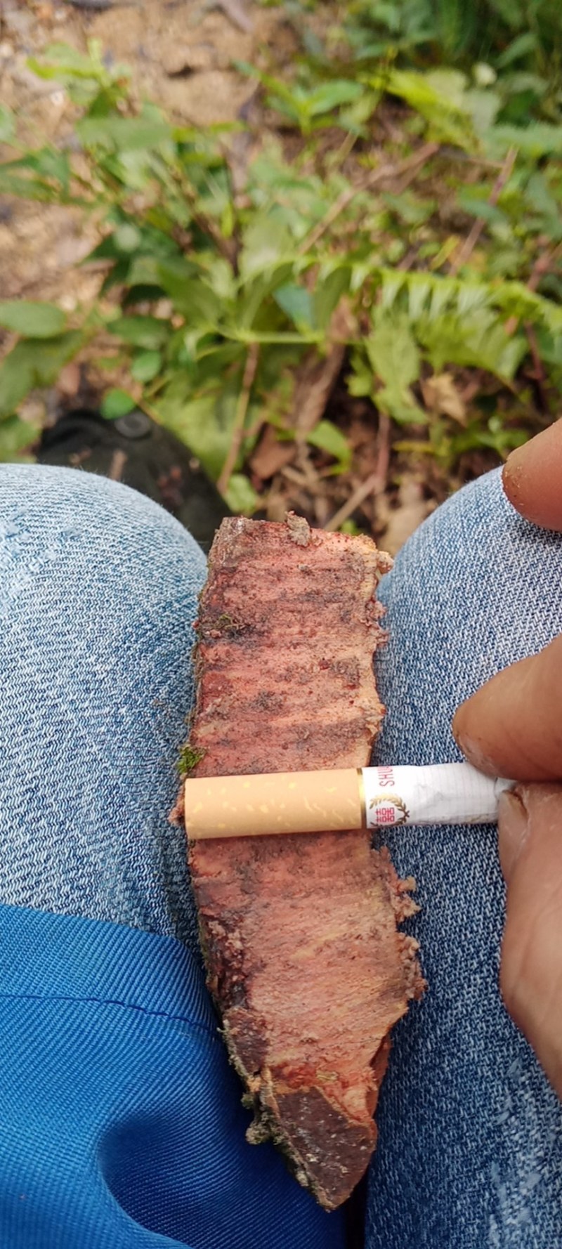 广西优质肉桂药食同源产地货源直销3