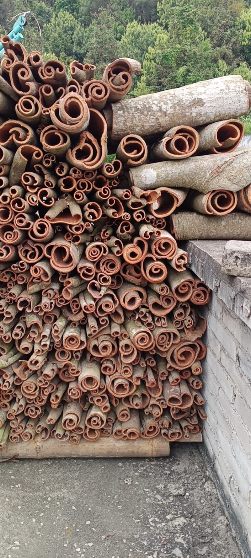 广西优质肉桂药食同源产地货源直销3