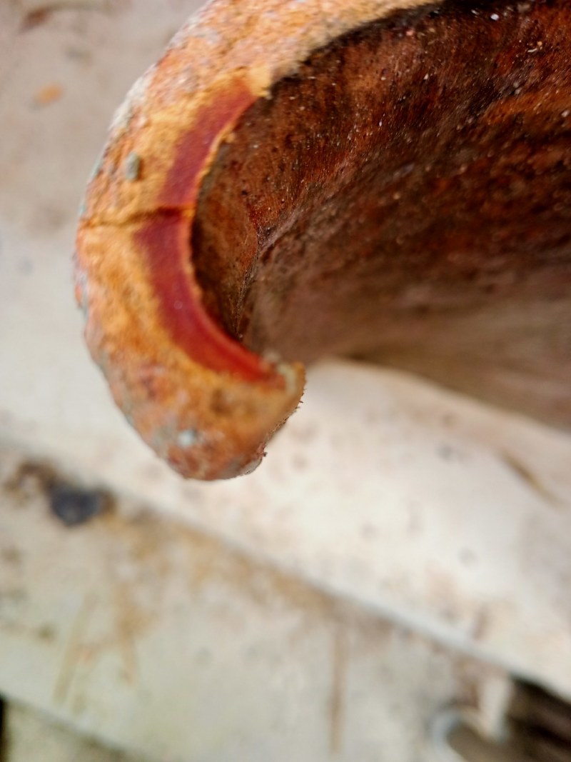 广西优质肉桂药食同源产地货源直销3