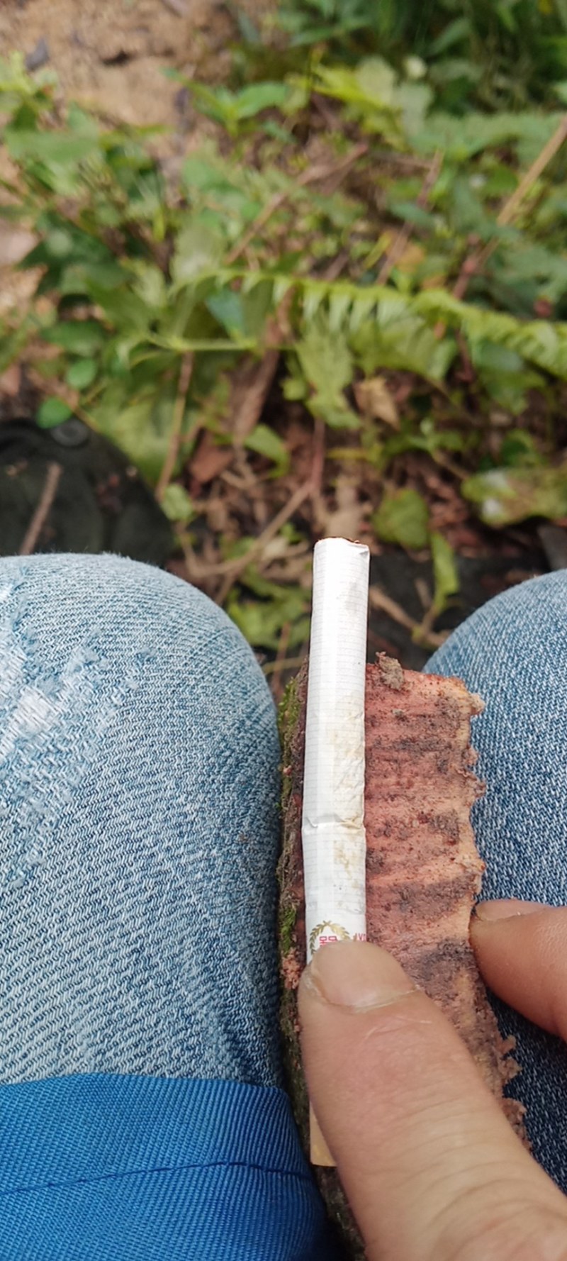 广西优质肉桂药食同源产地货源直销3