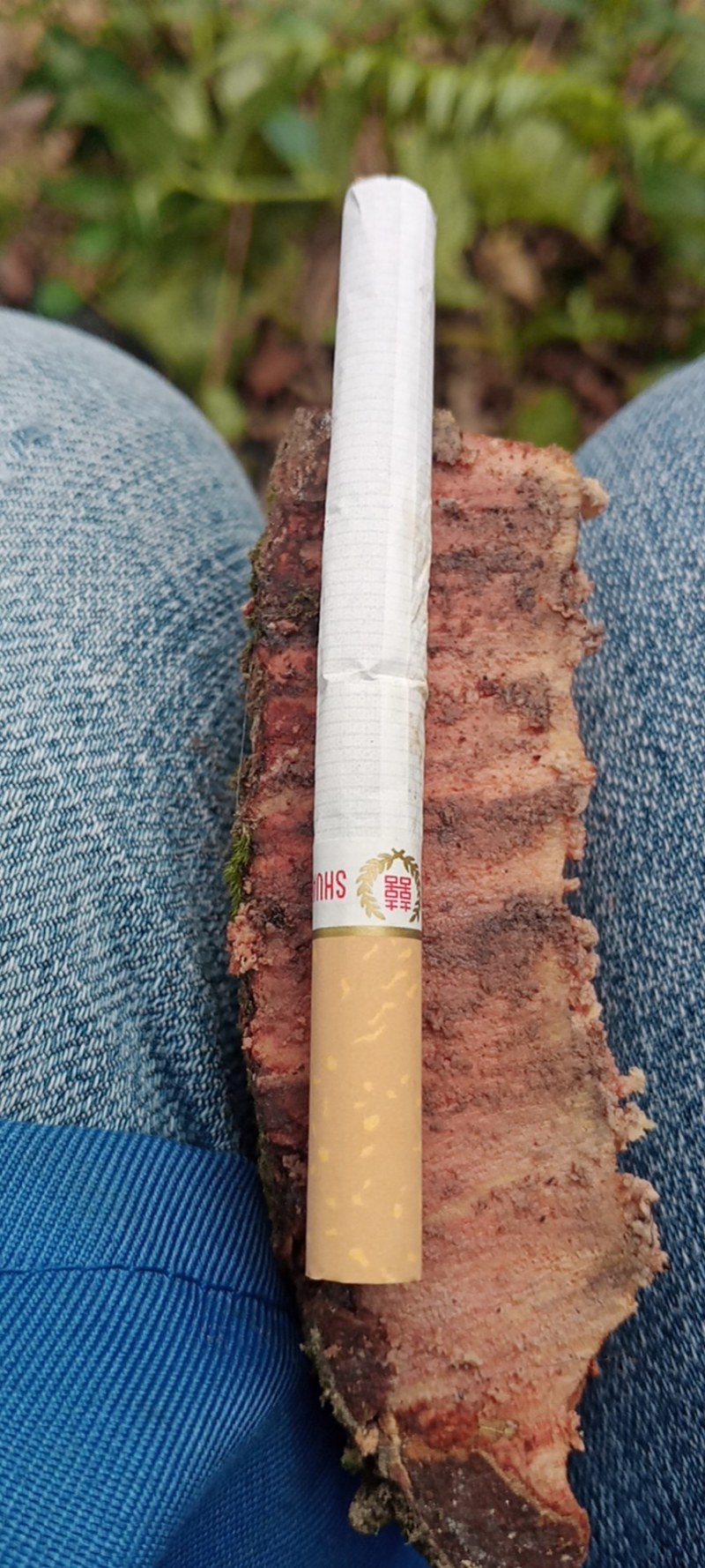 广西优质肉桂药食同源产地货源直销3